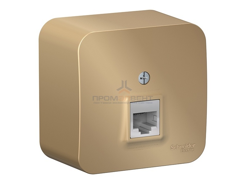 Розетка компьютерная RJ45 кат.5E Blanca Schneider Electric титан изол.пластина